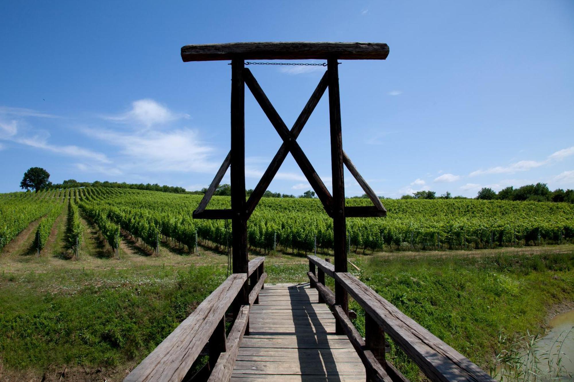 Stupnicki Dvori Winery Hotel Stupnik Brodski Exteriér fotografie