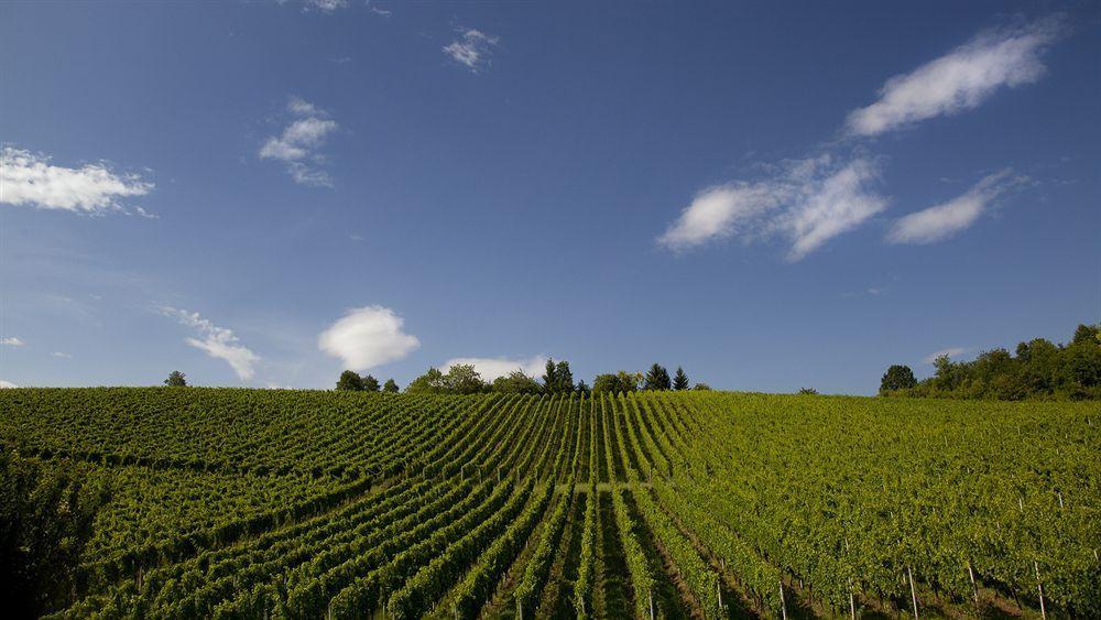 Stupnicki Dvori Winery Hotel Stupnik Brodski Exteriér fotografie